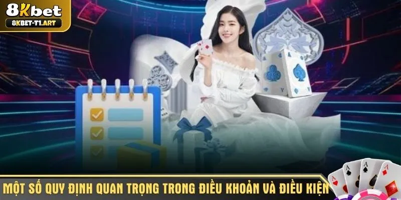 Một số quy định quan trọng trong điều khoản và điều kiện